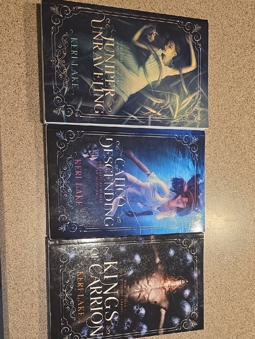 Set Of Kari Lake Books